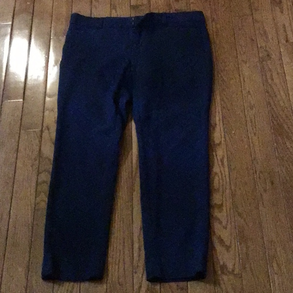 Banana Republic Blue/Black cropped pants.